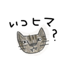 みさきの猫（個別スタンプ：3）