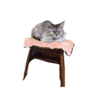 ミントかわいすぎ（個別スタンプ：7）