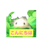 実写版ウーパールーパーうぱとくぱの日常（個別スタンプ：2）