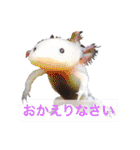実写版ウーパールーパーうぱとくぱの日常（個別スタンプ：8）