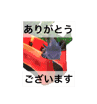 実写版ウーパールーパーうぱとくぱの日常（個別スタンプ：12）