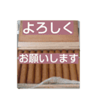 シガー(葉巻)を楽しむ紳士淑女のスタンプ.4（個別スタンプ：10）