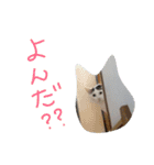 ミケネコとワンコ（個別スタンプ：2）