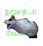 ミケネコとワンコ（個別スタンプ：6）