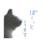 ミケネコとワンコ（個別スタンプ：17）
