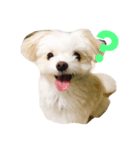 くっきー（個別スタンプ：2）