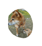 すまちび物語（個別スタンプ：7）