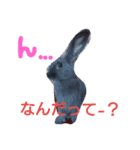 よっくんだいすき（個別スタンプ：7）