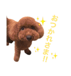 woolたん3（個別スタンプ：4）