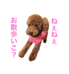 woolたん3（個別スタンプ：7）