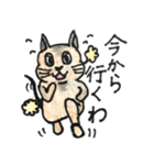 実は着ぐるみ⁉︎ デグーさん（個別スタンプ：16）