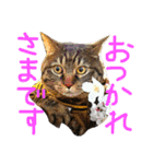 きぃちゃんの日々（個別スタンプ：2）