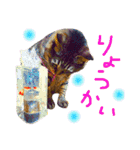 きぃちゃんの日々（個別スタンプ：6）