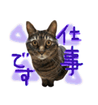 きぃちゃんの日々（個別スタンプ：11）