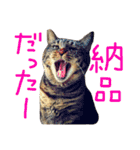 きぃちゃんの日々（個別スタンプ：22）
