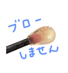 きぃちゃんの日々（個別スタンプ：26）