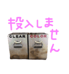 きぃちゃんの日々（個別スタンプ：29）