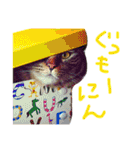 きぃちゃんの日々（個別スタンプ：37）