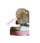 うちのいちごちゃん（個別スタンプ：3）