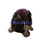 旬（個別スタンプ：2）