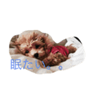 山田さんちの愉快な仲間達♡（個別スタンプ：2）