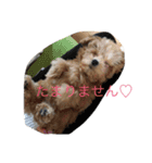 山田さんちの愉快な仲間達♡（個別スタンプ：4）
