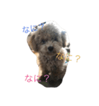 山田さんちの愉快な仲間達♡（個別スタンプ：9）