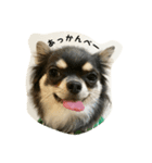 そらじろ（個別スタンプ：7）