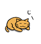 やる気がないネコ（個別スタンプ：13）