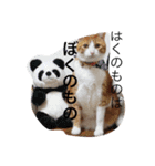 ねこの1日スタンプ2（個別スタンプ：4）
