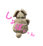 モコモコず（個別スタンプ：10）
