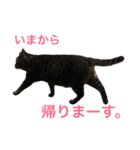 モコモコず（個別スタンプ：15）