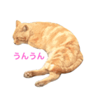 モコモコず（個別スタンプ：18）