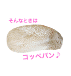 モコモコず（個別スタンプ：22）