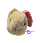 モコモコず（個別スタンプ：24）
