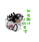 我が家のわんぱくみじゅくん（個別スタンプ：34）