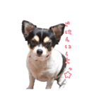 我が家のわんぱくみじゅくん（個別スタンプ：36）