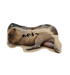 くまくまくまくまくまくま（個別スタンプ：5）