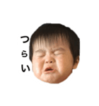 れおぼスタンプ（個別スタンプ：5）