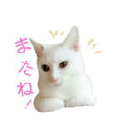 つぶみるつきスタンプ2（個別スタンプ：8）