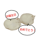 つぶみるつきスタンプ2（個別スタンプ：15）