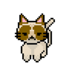 Wilful Kitty（個別スタンプ：3）