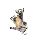 可愛い動物たち。（個別スタンプ：3）