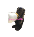 可愛い動物たち。（個別スタンプ：5）