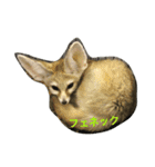 可愛い動物たち。（個別スタンプ：7）