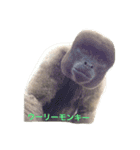 可愛い動物たち。（個別スタンプ：16）
