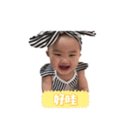Tofu daily（個別スタンプ：11）
