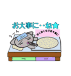 続まいるニャンコちゃんの日常（個別スタンプ：22）