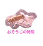 華麗なる山本家（個別スタンプ：2）