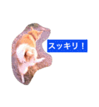 華麗なる山本家（個別スタンプ：17）